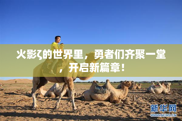 火影ζ的世界里，勇者们齐聚一堂，开启新篇章！
