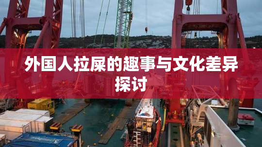 外国人拉屎的趣事与文化差异探讨
