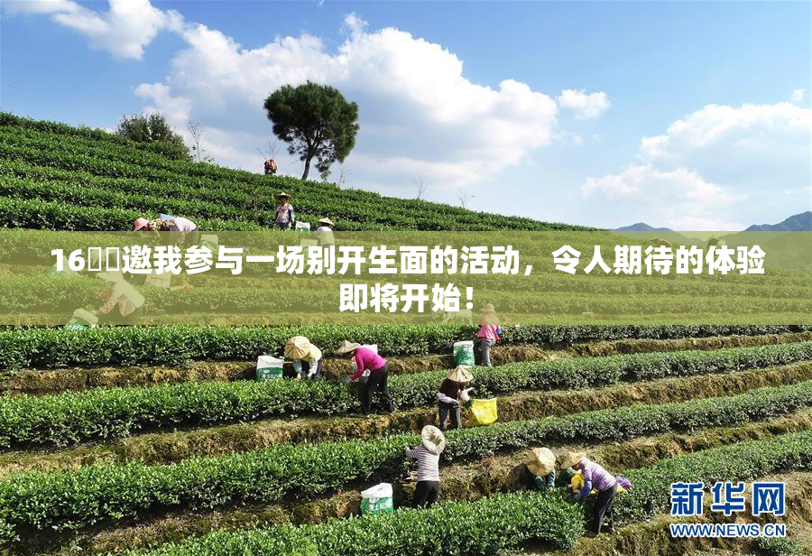 16妺妺邀我参与一场别开生面的活动，令人期待的体验即将开始！
