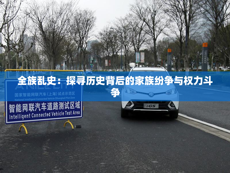 全族乱史：探寻历史背后的家族纷争与权力斗争
