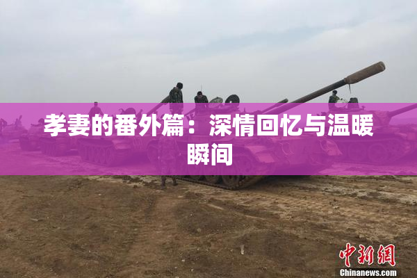 孝妻的番外篇：深情回忆与温暖瞬间