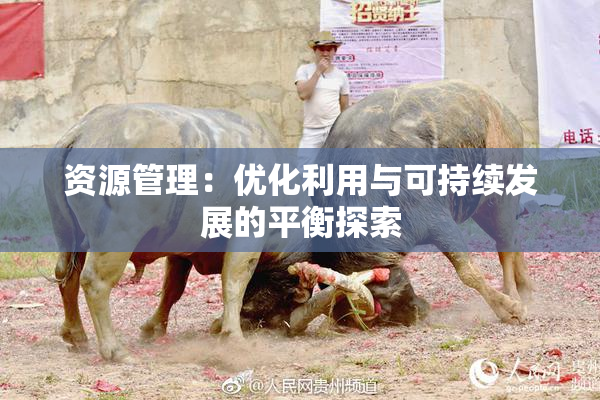资源管理：优化利用与可持续发展的平衡探索