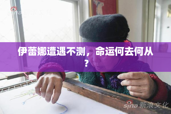 伊蕾娜遭遇不测，命运何去何从？