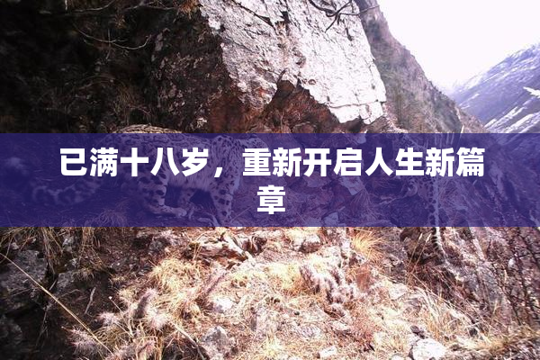 已满十八岁，重新开启人生新篇章