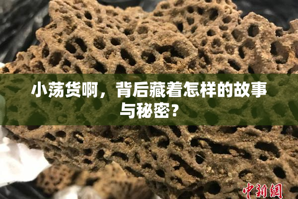 小荡货啊，背后藏着怎样的故事与秘密？
