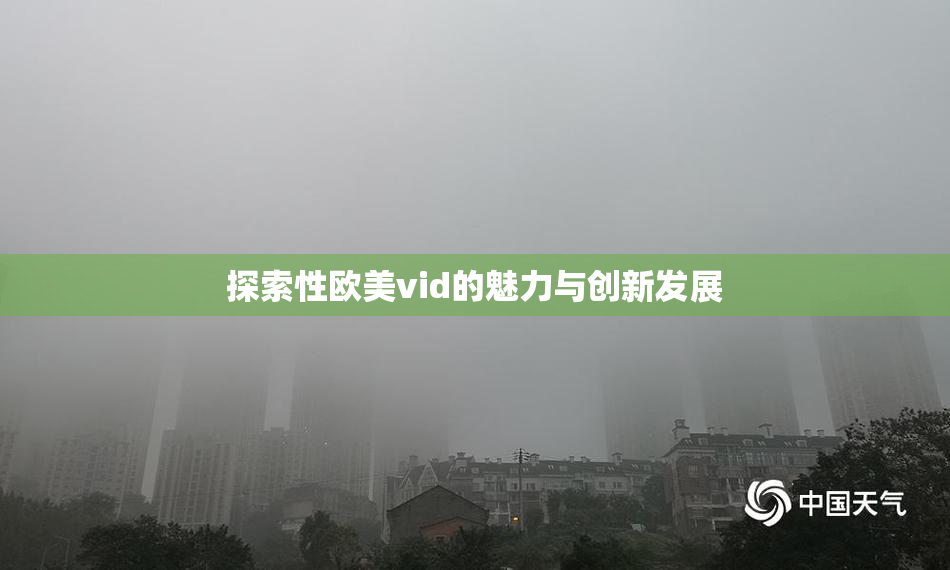 探索性欧美vid的魅力与创新发展