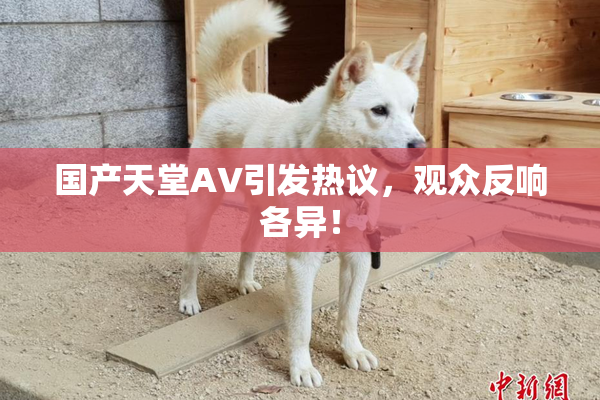 国产天堂AV引发热议，观众反响各异！