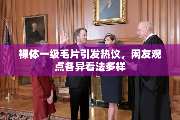 裸体一级毛片引发热议，网友观点各异看法多样