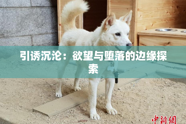 引诱沉沦：欲望与堕落的边缘探索