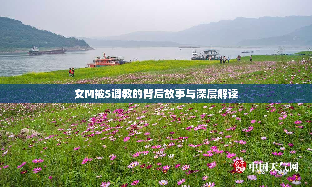 女M被S调教的背后故事与深层解读