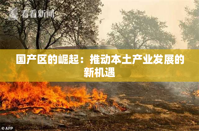 国产区的崛起：推动本土产业发展的新机遇