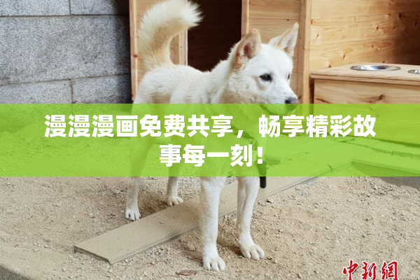 漫漫漫画免费共享，畅享精彩故事每一刻！