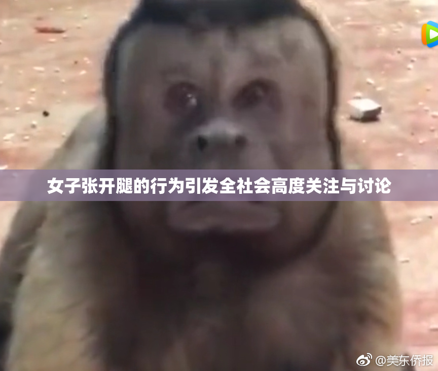 女子张开腿的行为引发全社会高度关注与讨论
