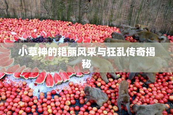 小草神的艳丽风采与狂乱传奇揭秘