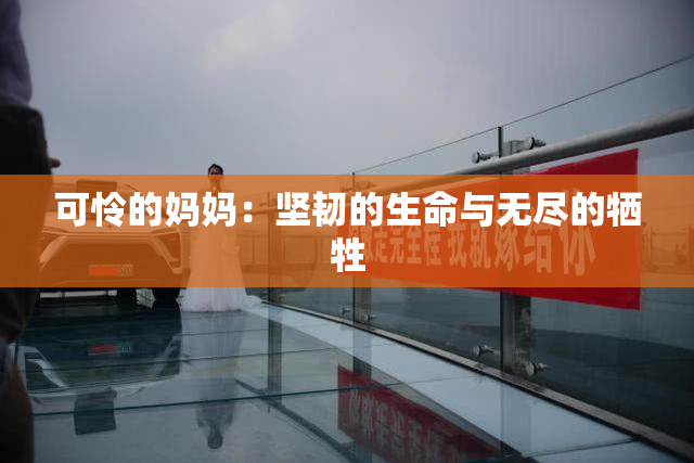 可怜的妈妈：坚韧的生命与无尽的牺牲