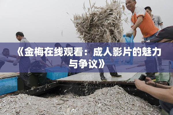 《金梅在线观看：成人影片的魅力与争议》