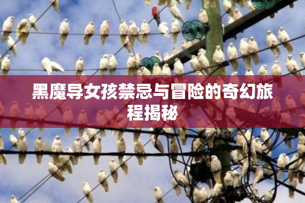 黑魔导女孩禁忌与冒险的奇幻旅程揭秘