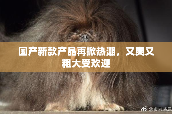 国产新款产品再掀热潮，又爽又粗大受欢迎