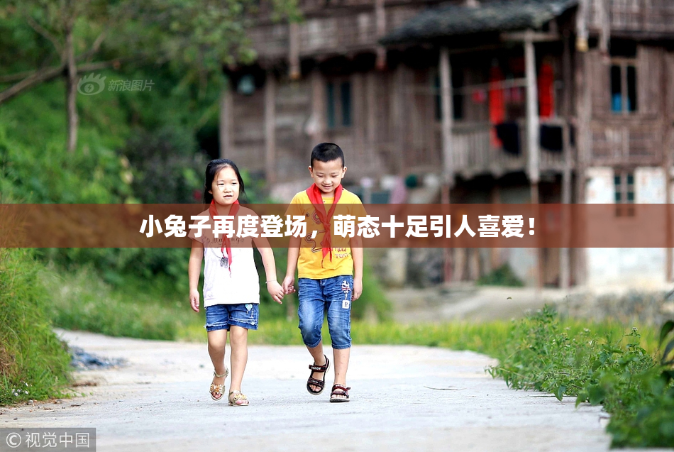 小兔子再度登场，萌态十足引人喜爱！