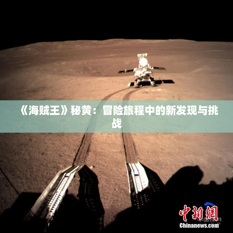《海贼王》秘黄：冒险旅程中的新发现与挑战