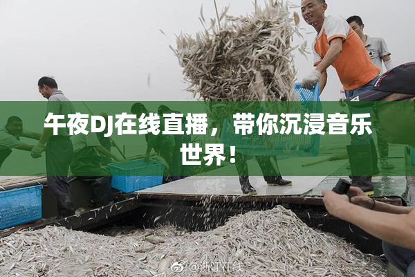 午夜DJ在线直播，带你沉浸音乐世界！