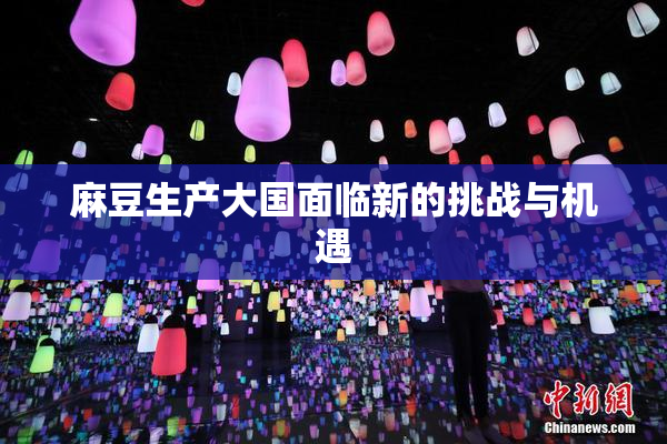 麻豆生产大国面临新的挑战与机遇