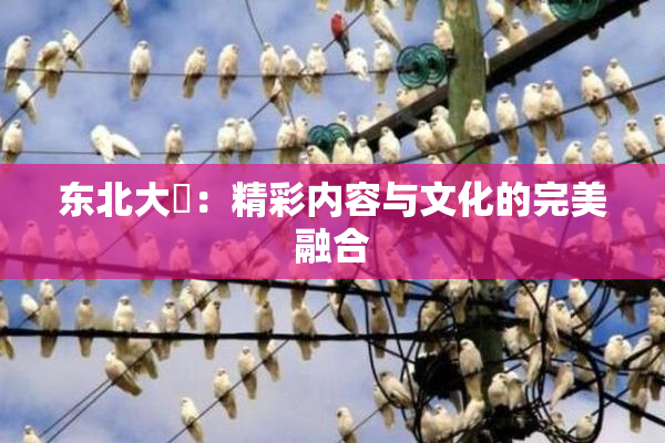 东北大鷄：精彩内容与文化的完美融合