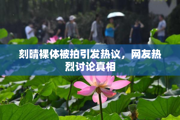 刻晴裸体被拍引发热议，网友热烈讨论真相