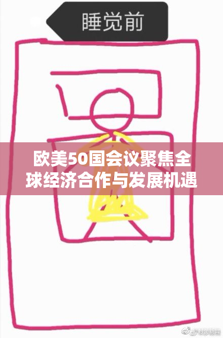 欧美50国会议聚焦全球经济合作与发展机遇