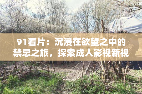 91看片：沉浸在欲望之中的禁忌之旅，探索成人影视新视角