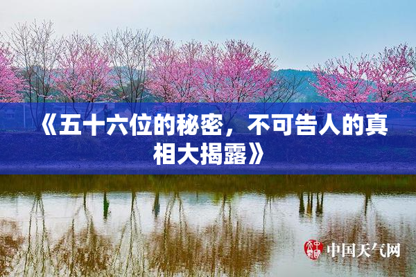 《五十六位的秘密，不可告人的真相大揭露》