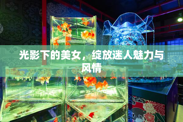 光影下的美女，绽放迷人魅力与风情