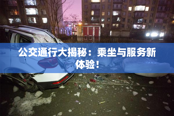 公交通行大揭秘：乘坐与服务新体验！