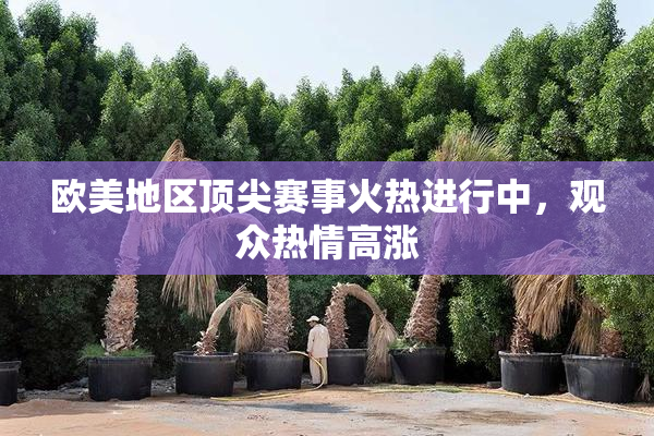 欧美地区顶尖赛事火热进行中，观众热情高涨