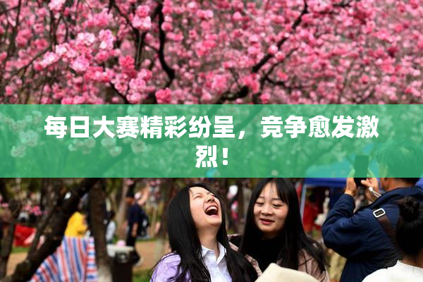 每日大赛精彩纷呈，竞争愈发激烈！