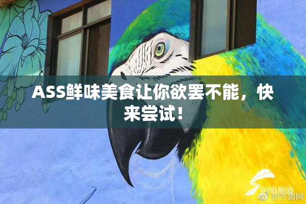 ASS鲜味美食让你欲罢不能，快来尝试！