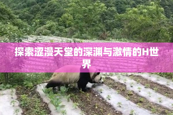 探索涩漫天堂的深渊与激情的H世界