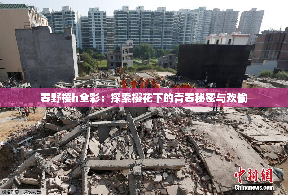 春野樱h全彩：探索樱花下的青春秘密与欢愉