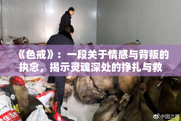 《色戒》：一段关于情感与背叛的执念，揭示灵魂深处的挣扎与救赎