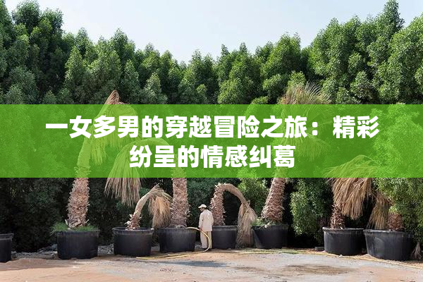 一女多男的穿越冒险之旅：精彩纷呈的情感纠葛