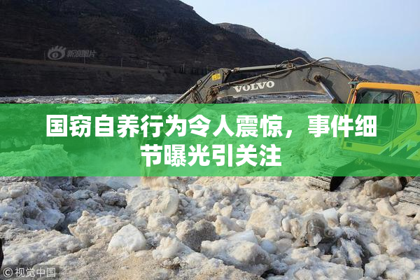国窃自养行为令人震惊，事件细节曝光引关注