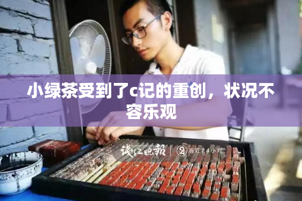 小绿茶受到了c记的重创，状况不容乐观