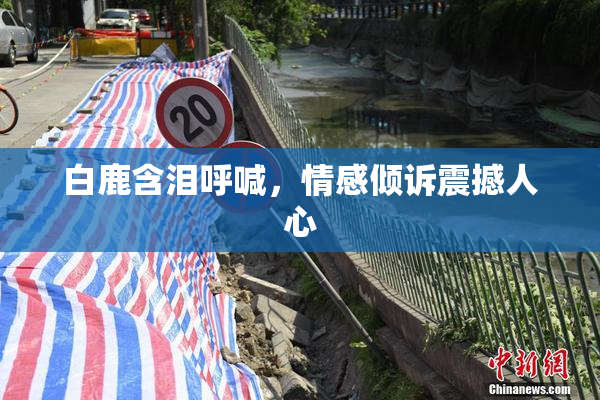 白鹿含泪呼喊，情感倾诉震撼人心