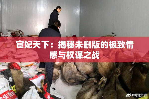 宦妃天下：揭秘未删版的极致情感与权谋之战