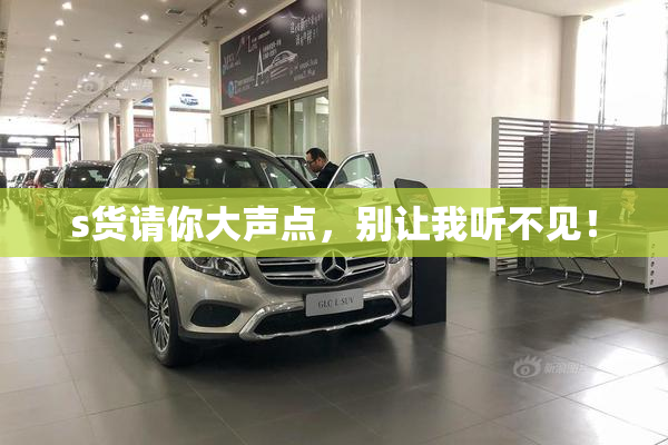 s货请你大声点，别让我听不见！