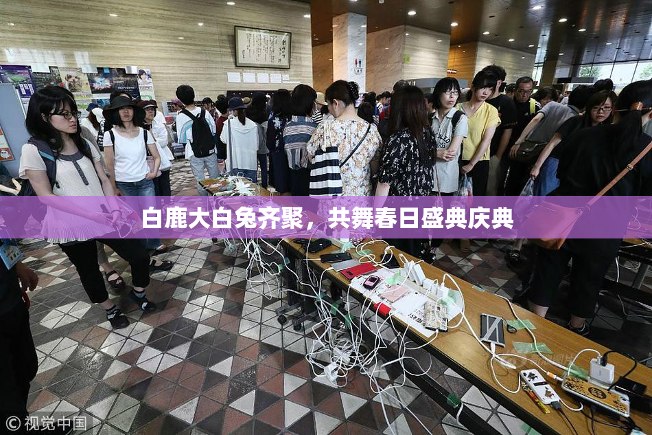 白鹿大白兔齐聚，共舞春日盛典庆典