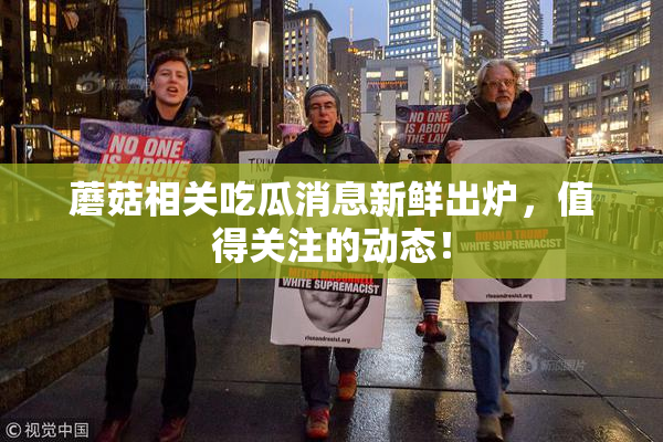 蘑菇相关吃瓜消息新鲜出炉，值得关注的动态！