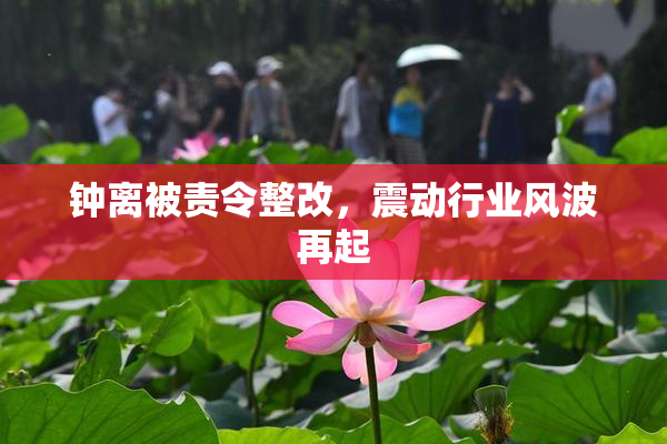 钟离被责令整改，震动行业风波再起