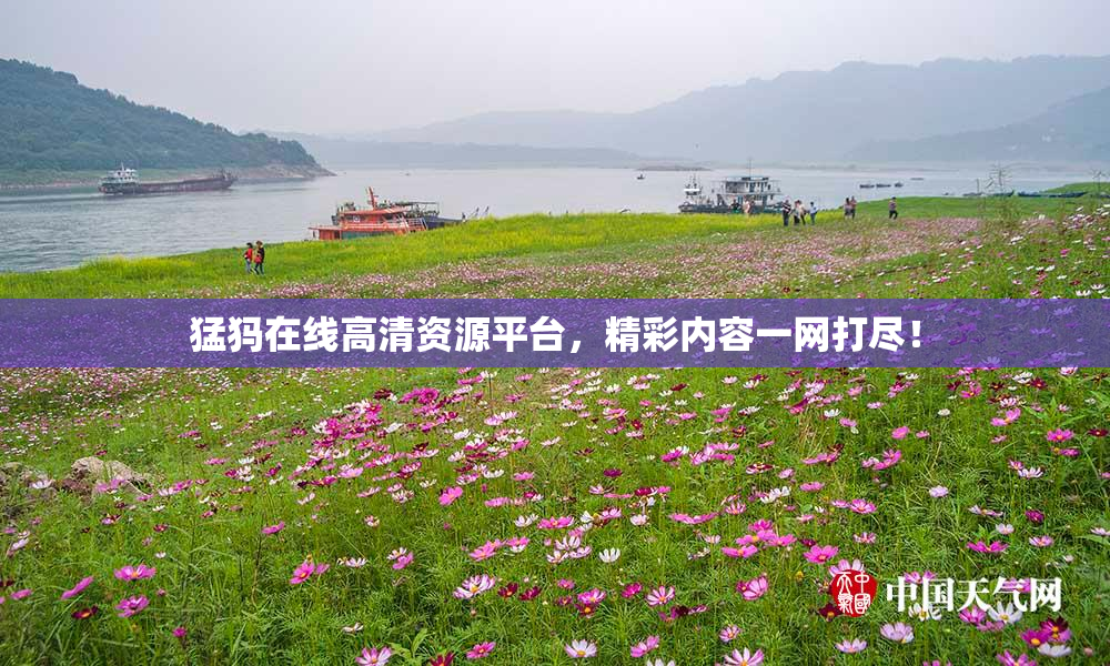 猛犸在线高清资源平台，精彩内容一网打尽！