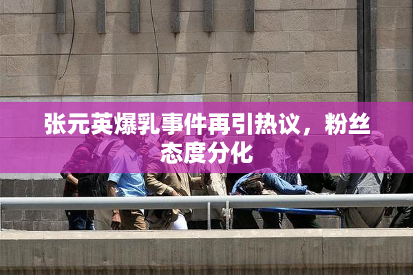 张元英爆乳事件再引热议，粉丝态度分化